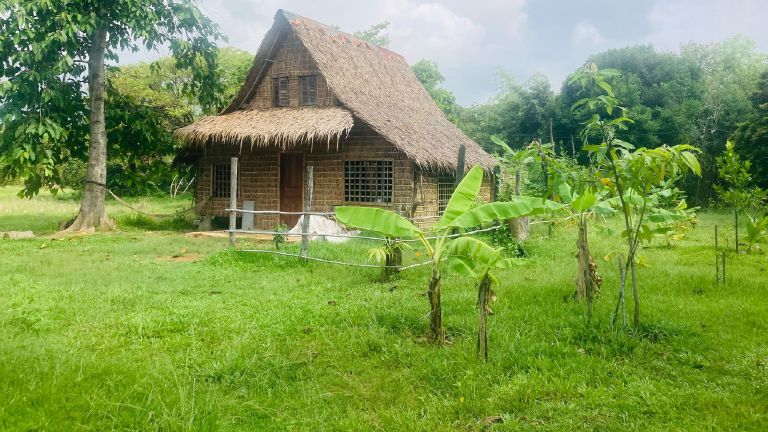 Stay in our Eco Lodge