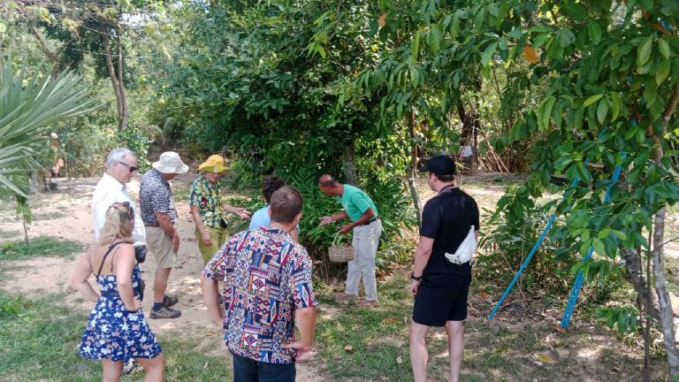 Authentic village tuk-tuk tour